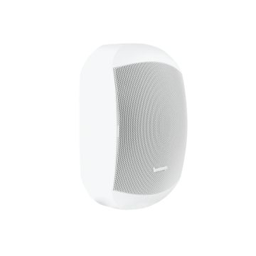 Biamp Desono MASK6C-W
