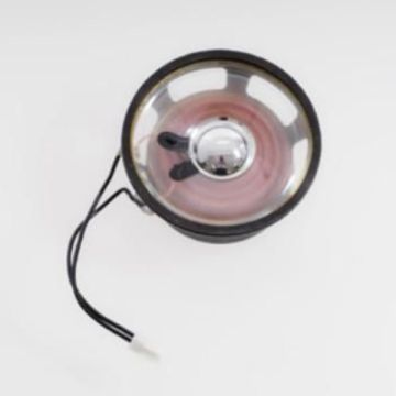 2N IP Force and Safety Speaker 10W 4 PCS