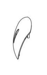 Teleco 10534 spare part Motorafdekklepje CL.E.65/85